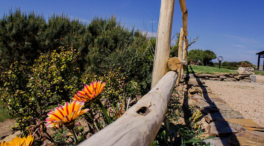 Esterni Calascoglietti 2