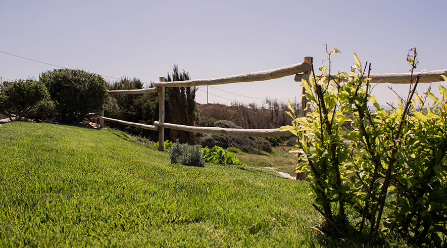 Esterni Calascoglietti 5