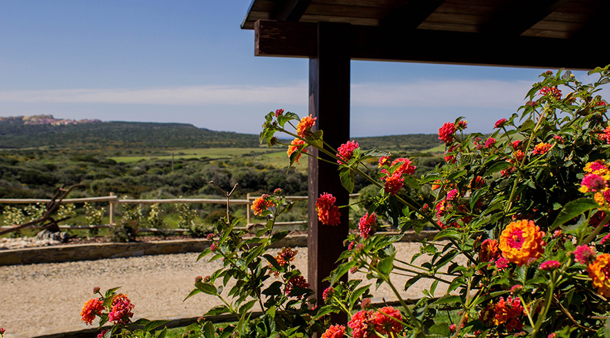 Esterni Calascoglietti 6