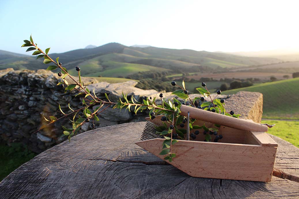 Tenuta Agricola Rio d’Astimini - Foto 12