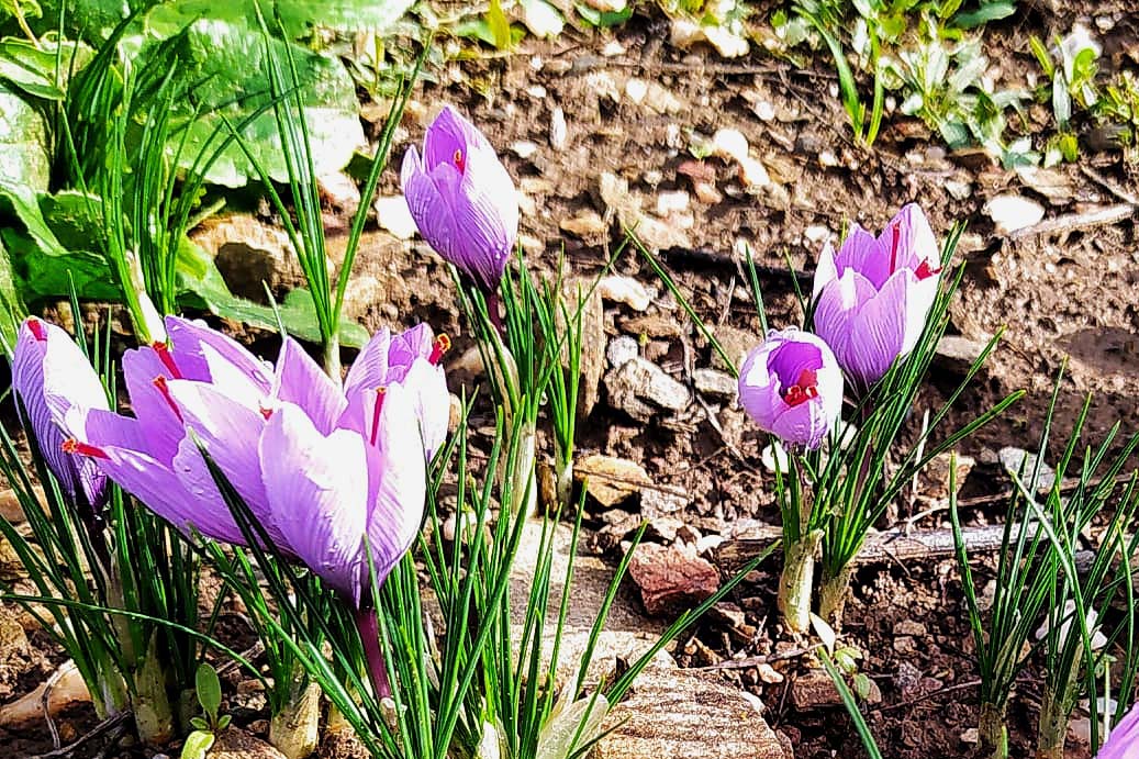 Tenuta Agricola Rio d’Astimini - Foto 14