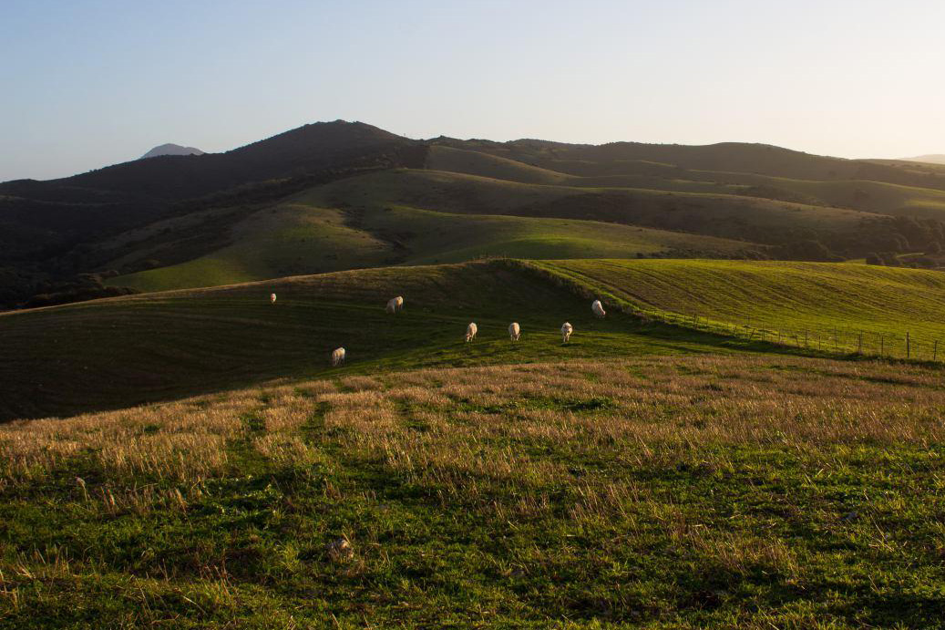 Tenuta Agricola Rio d’Astimini - Foto 4