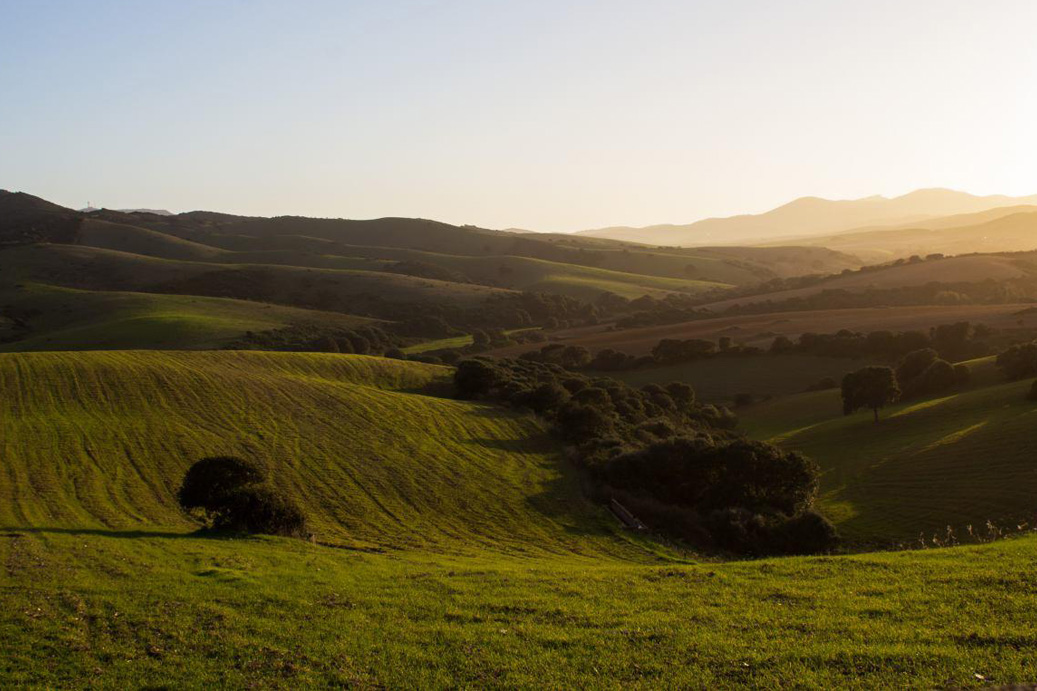 Tenuta Agricola Rio d’Astimini - Foto 5