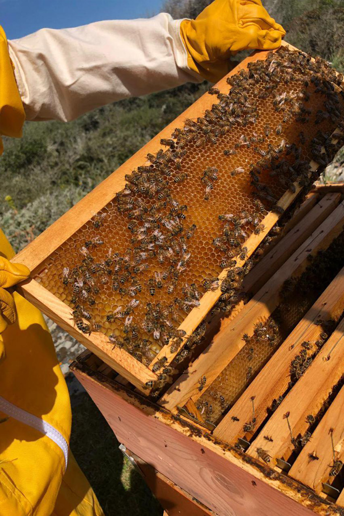 Tenuta Agricola Rio d’Astimini - Foto 7