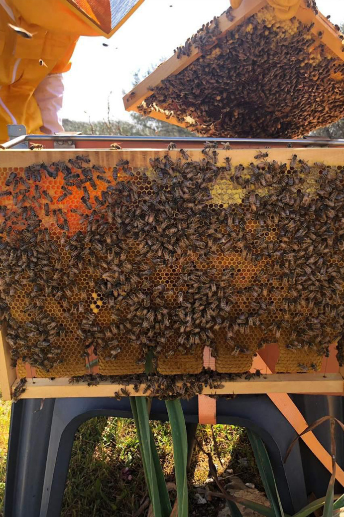 Tenuta Agricola Rio d’Astimini - Foto 8