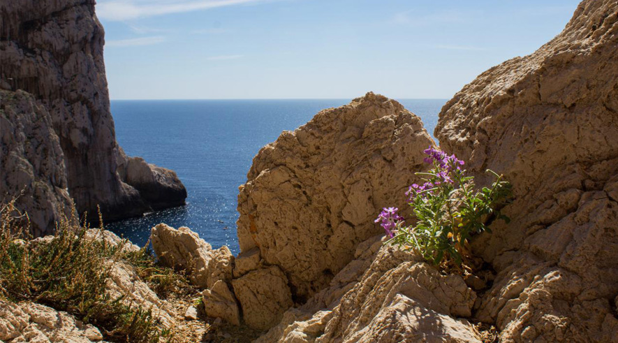 Capo Caccia - Foto 23