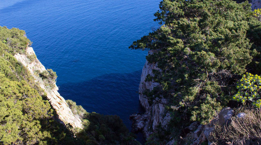 Capo Caccia - Foto 5