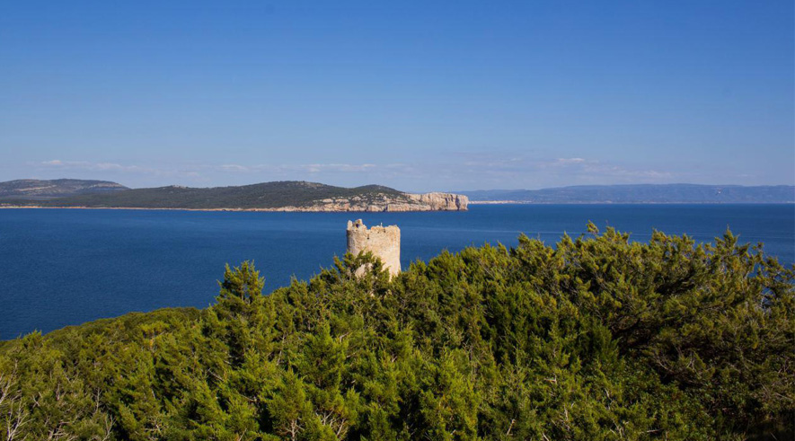Capo Caccia - Foto 8