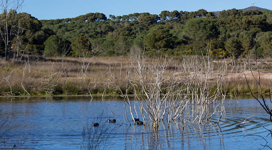Porto Ferro e Baratz - Foto 2