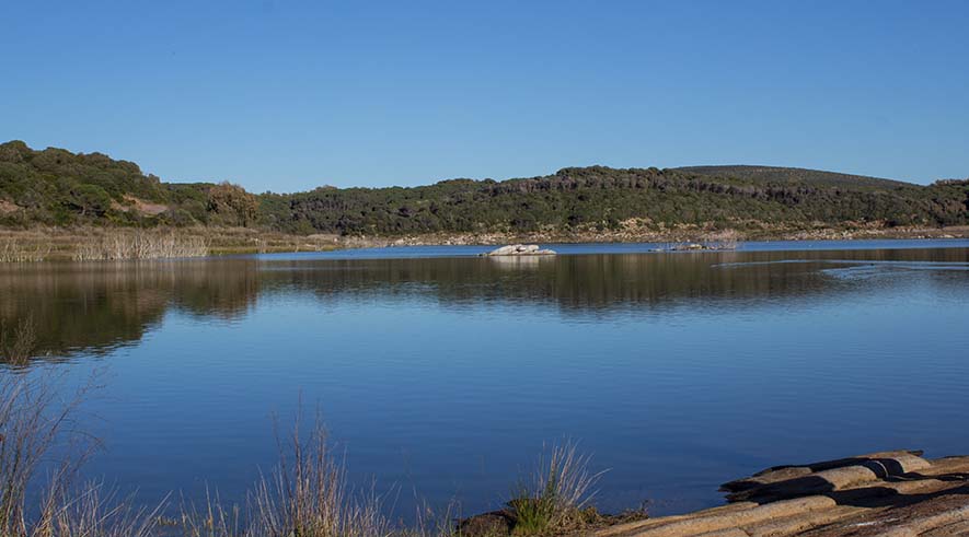 Porto Ferro e Baratz - Foto 4