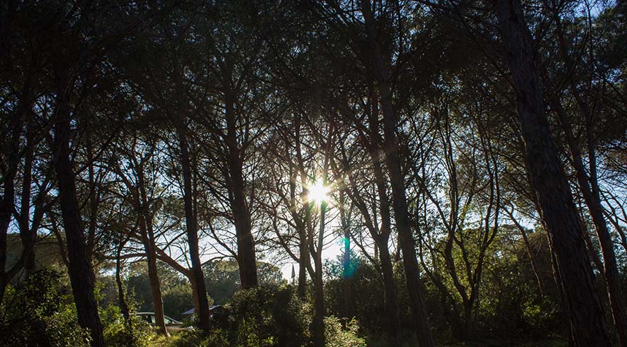 Porto Ferro e Baratz - Foto 5